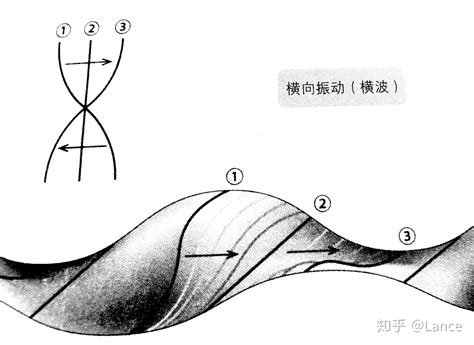 玄理論|浅谈 弦理论